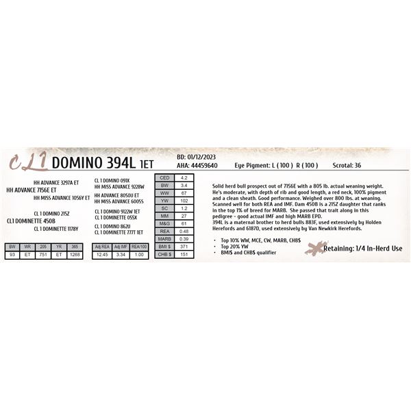 CL 1 DOMINO 394L 1ET