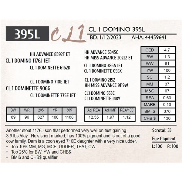 CL 1 DOMINO 395L