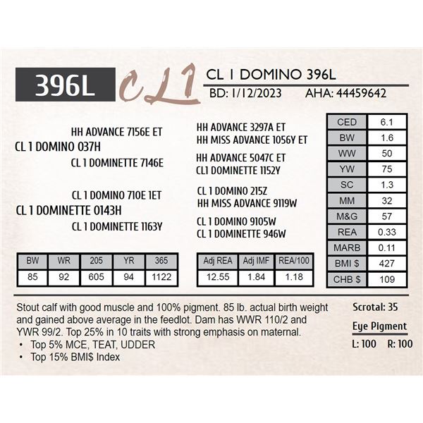 CL 1 DOMINO 396L