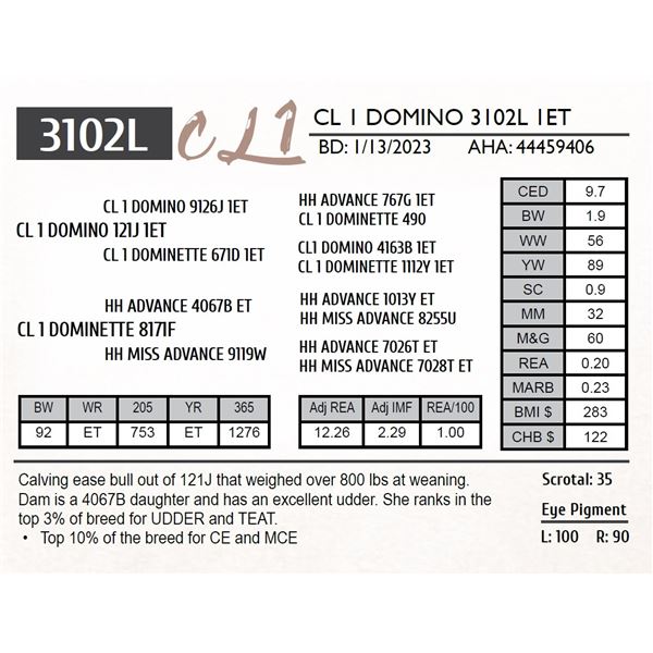 CL 1 DOMINO 3102L 1ET