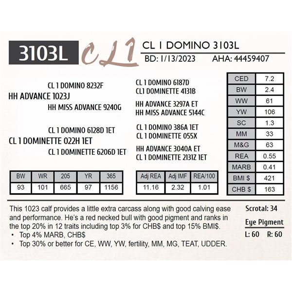 CL 1 DOMINO 3103L