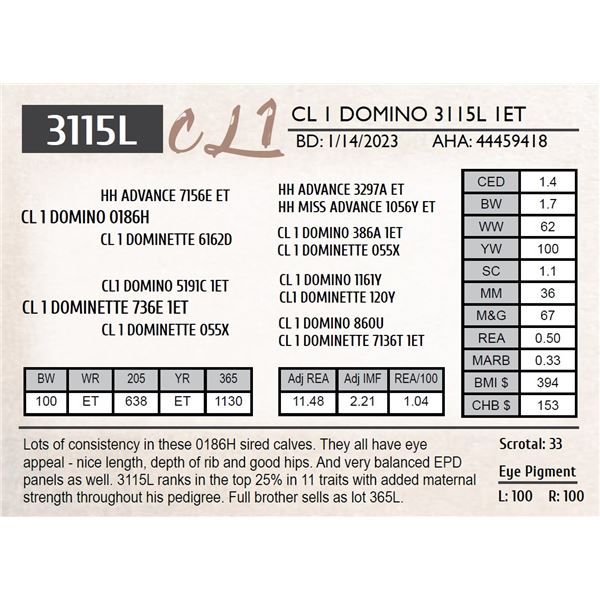 CL 1 DOMINO 3115L 1ET