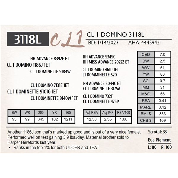 CL 1 DOMINO 3118K