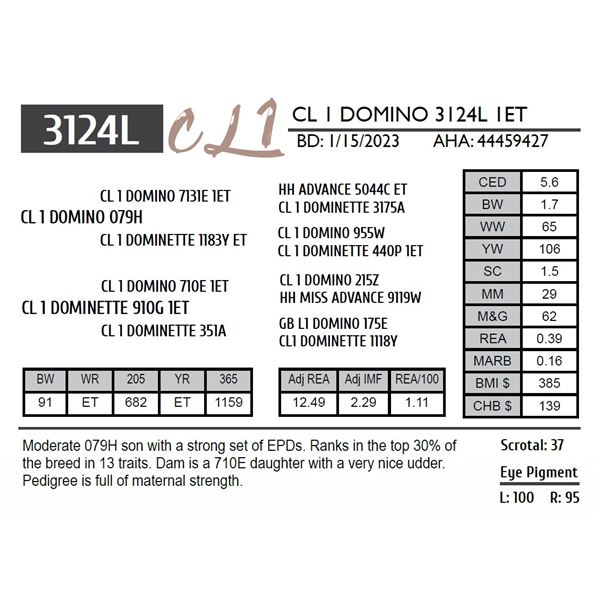 CL 1 DOMINO 3124L 1ET