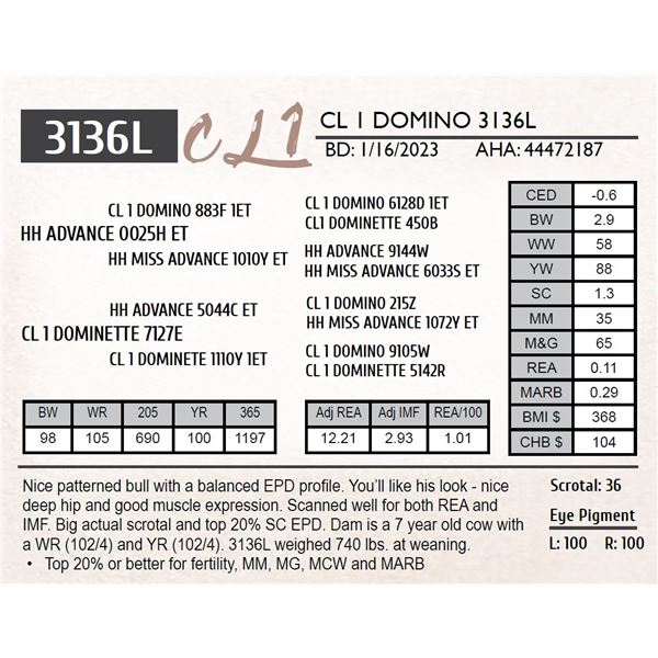 CL 1 DOMINO 3136K