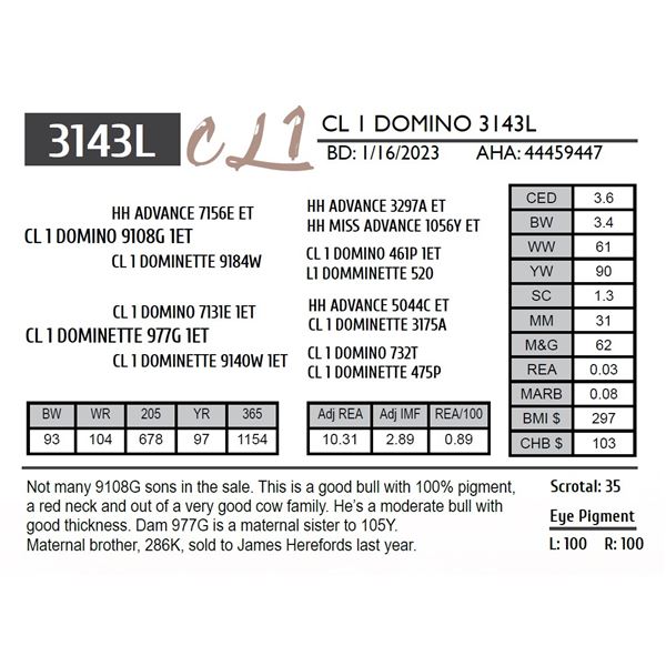 CL 1 DOMINO 3143K