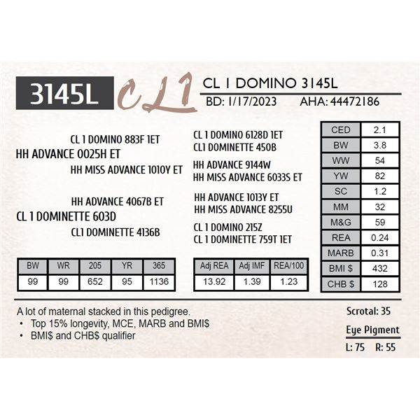 CL 1 DOMINO 3145K