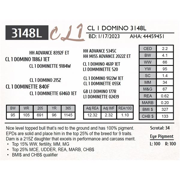 CL 1 DOMINO 3148K