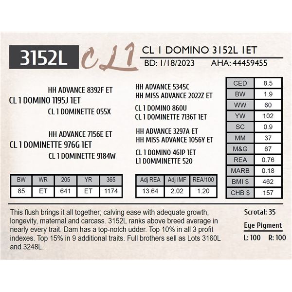 CL 1 DOMINO 3152L 1ET