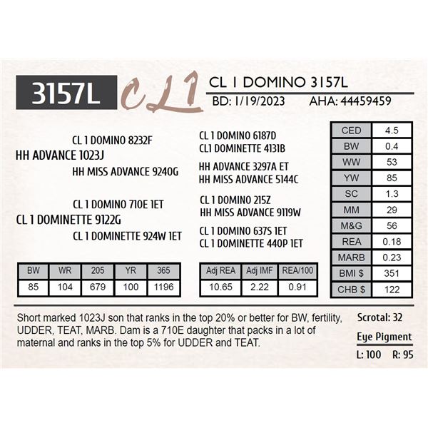 CL 1 DOMINO 3157K