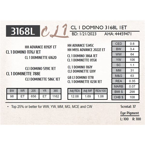 CL 1 DOMINO 3168L 1ET