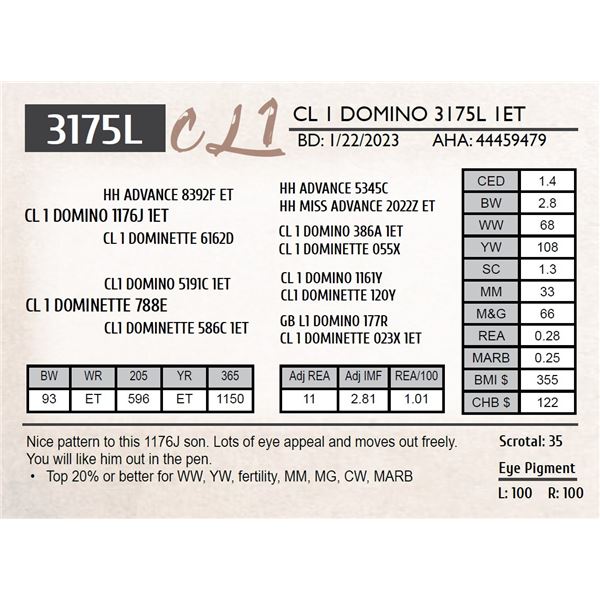 CL 1 DOMINO 3175L 1ET