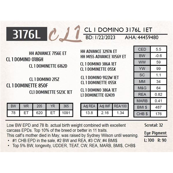 CL 1 DOMINO 3176L 1ET