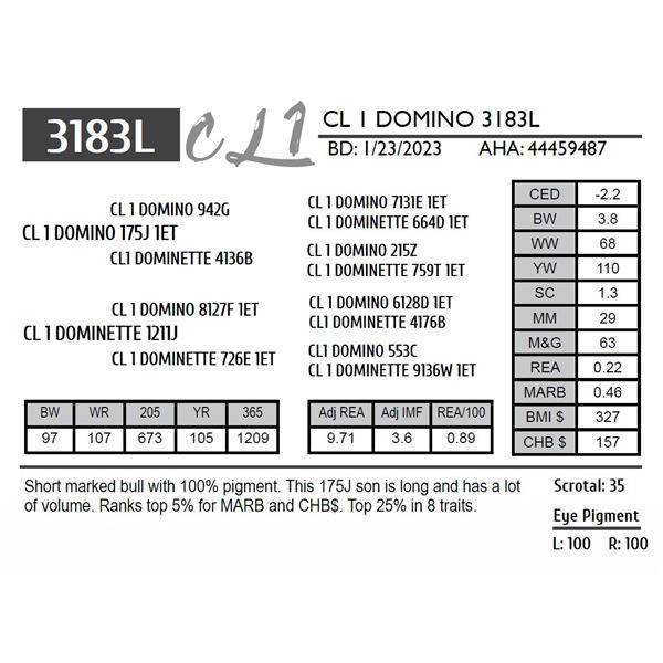 CL 1 DOMINO 3183L