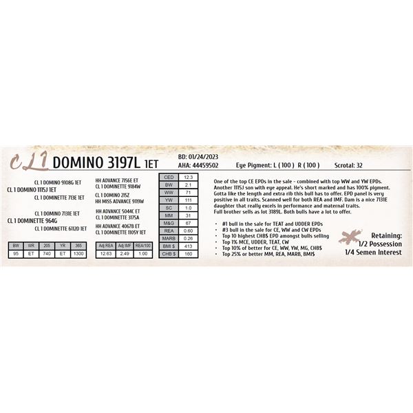 CL 1 DOMINO 3197L 1ET