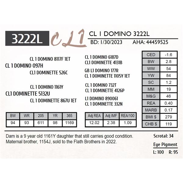 CL 1 DOMINO 3222L