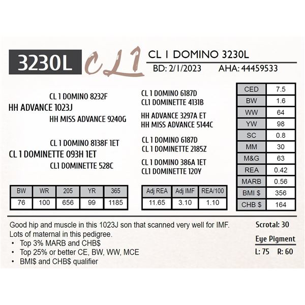 CL 1 DOMINO 3230L