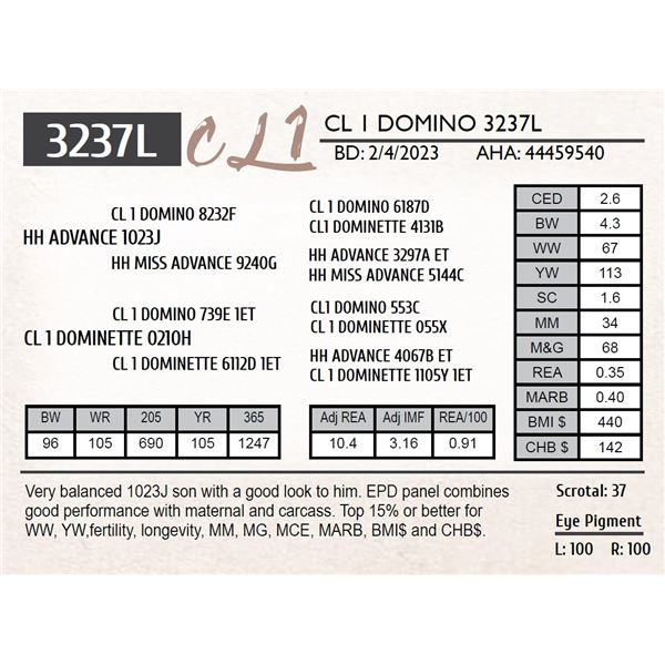 CL 1 DOMINO 3237L