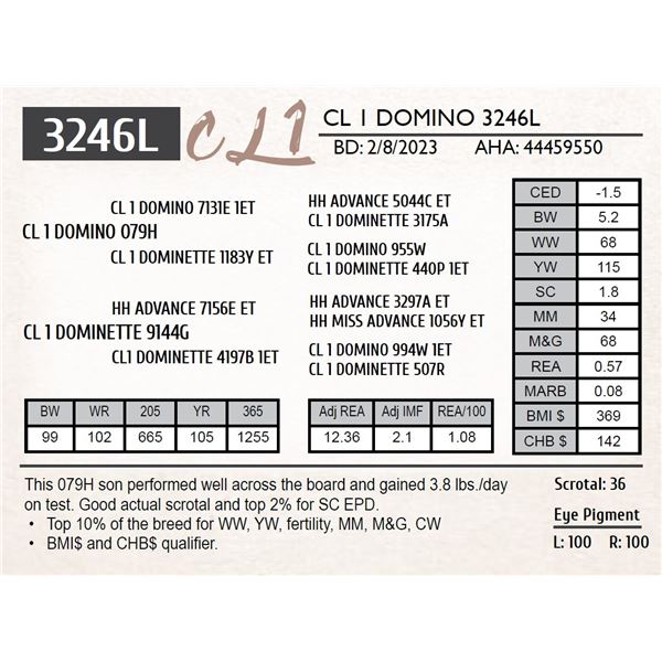 CL 1 DOMINO 3246L