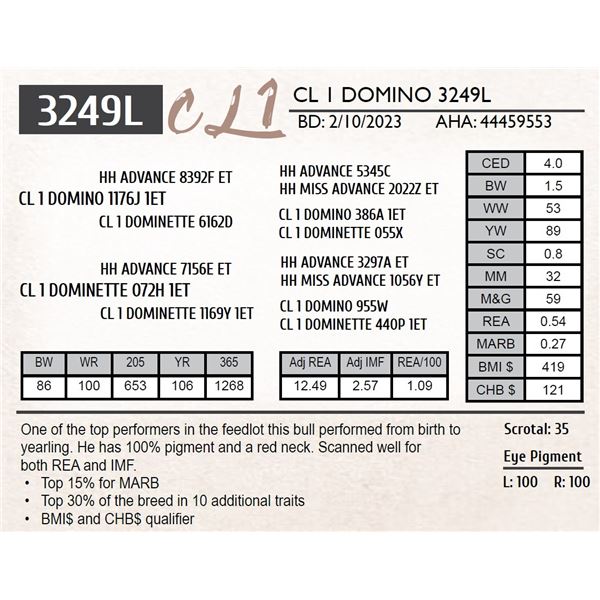 CL 1 DOMINO 3249L