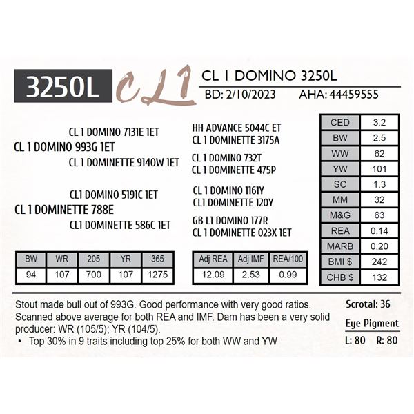 CL 1 DOMINO 3250L