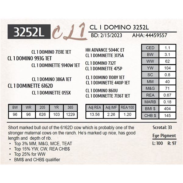 CL 1 DOMINO 3252L