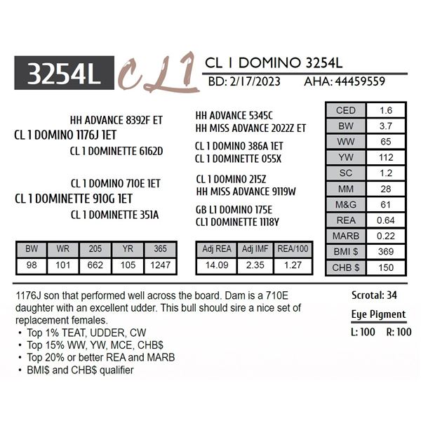 CL 1 DOMINO 3254L