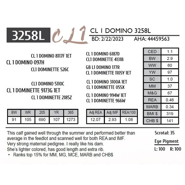 CL 1 DOMINO 3258L