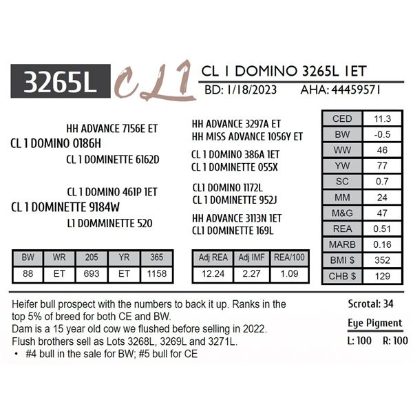 CL 1 DOMINO 3265L 1ET