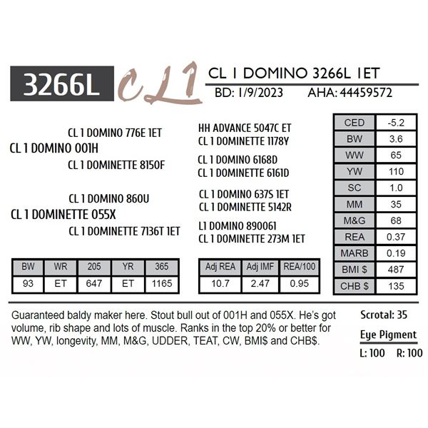 CL 1 DOMINO 3266L 1ET