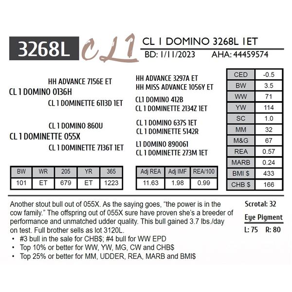 CL 1 DOMINO 3268L 1ET