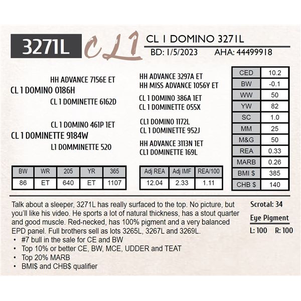 CL 1 DOMINO 3271L