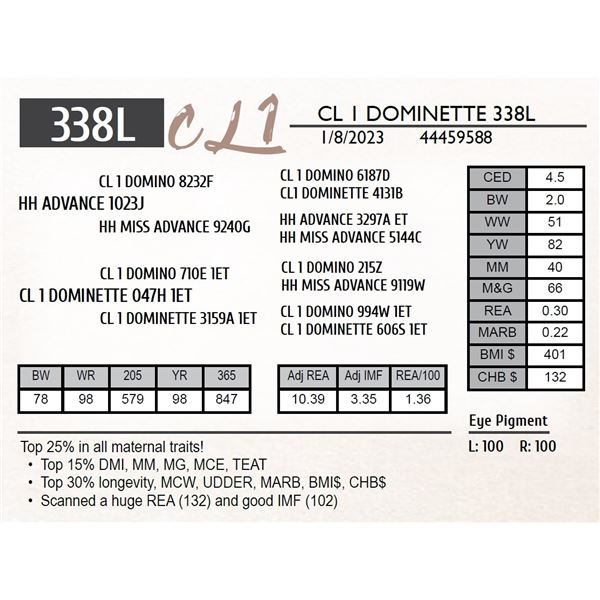 CL 1 DOMINETTE 338L