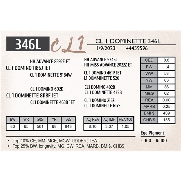 CL 1 DOMINETTE 346L