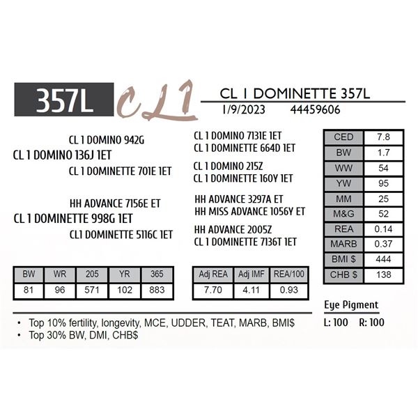 CL 1 DOMINETTE 357L