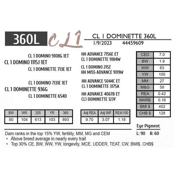 CL 1 DOMINETTE 360L