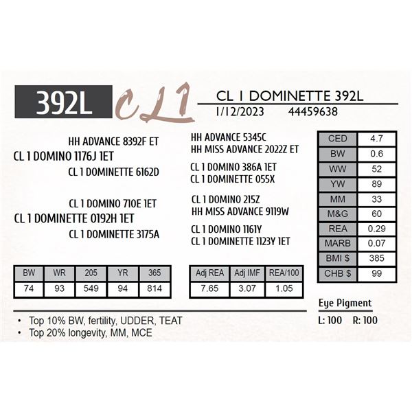 CL 1 DOMINETTE 392L