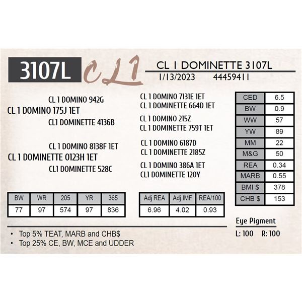 CL 1 DOMINETTE 3107L