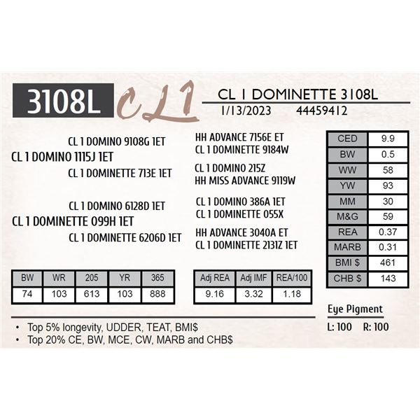 CL 1 DOMINETTE 3108L