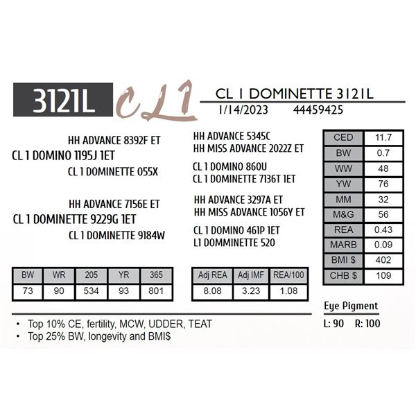 CL 1 DOMINETTE 3121K