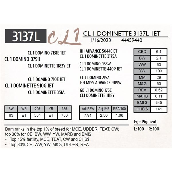 CL 1 DOMINETTE 3137L 1ET