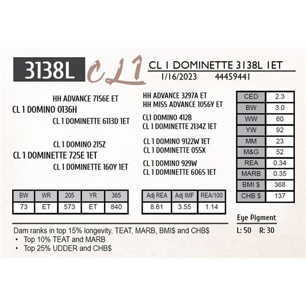 CL 1 DOMINETTE 3138L 1ET