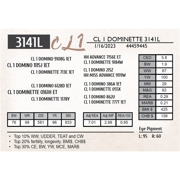 CL 1 DOMINETTE 3141K