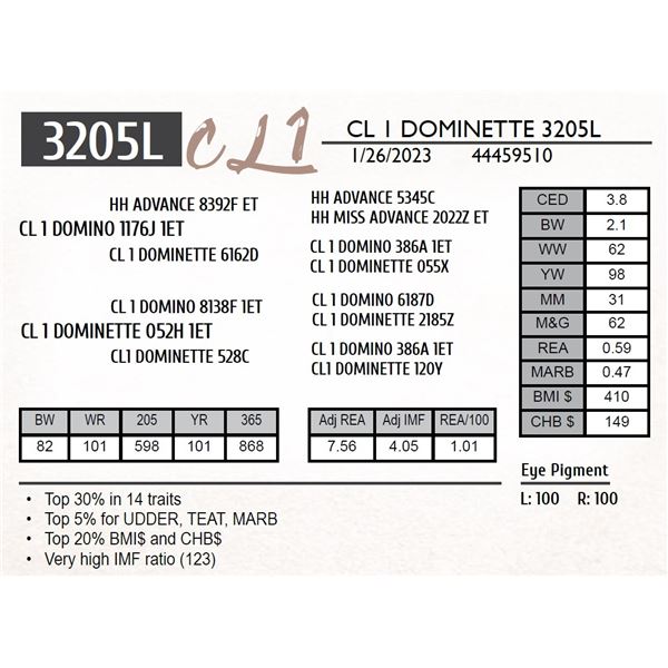 CL 1 DOMINETTE 3205L