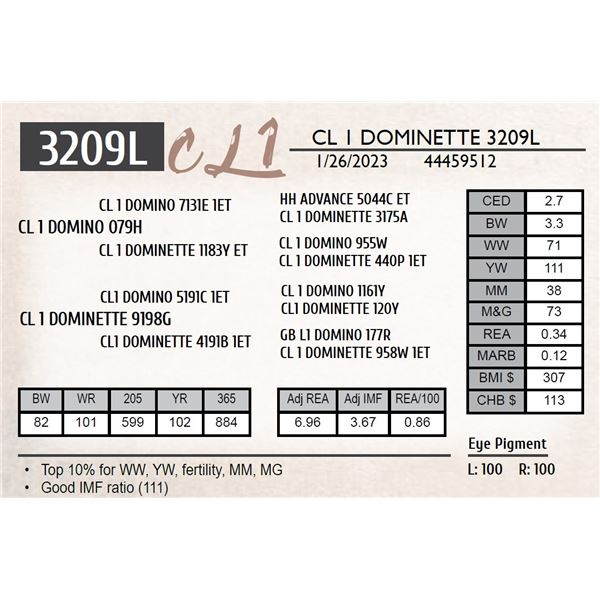 CL 1 DOMINETTE 3209L