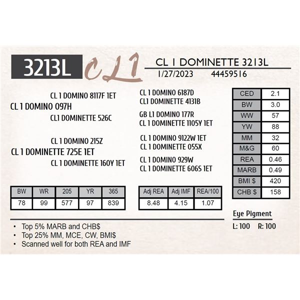 CL 1 DOMINETTE 3213L