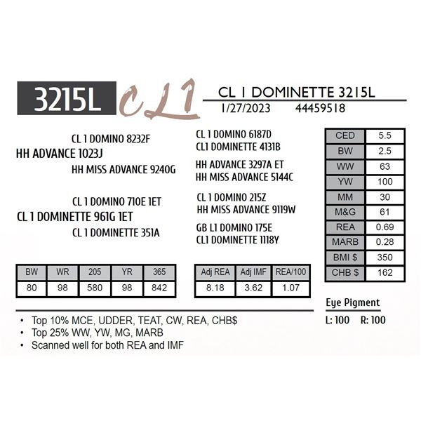 CL 1 DOMINETTE 3215L