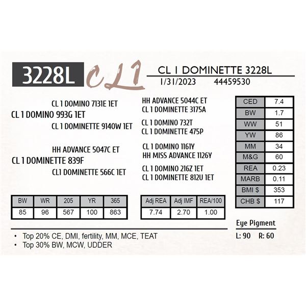 CL 1 DOMINETTE 3228L