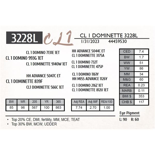 CL 1 DOMINETTE 3228L