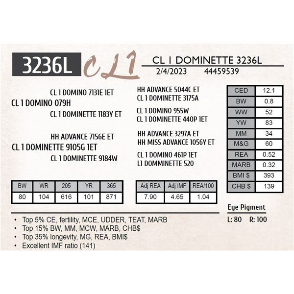 CL 1 DOMINETTE 3236L